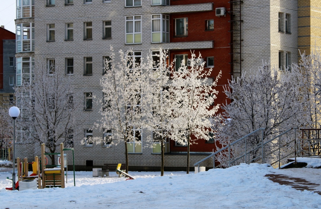 Зимний Саров - 09.jpg.jpg